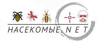 NasecomyeNET logo