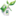 ДезЦентр