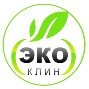 Эко химчистка мягкой мебели на дому в Москве logo