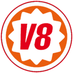 V8 SERVICE