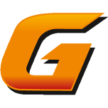 G-Energy Service