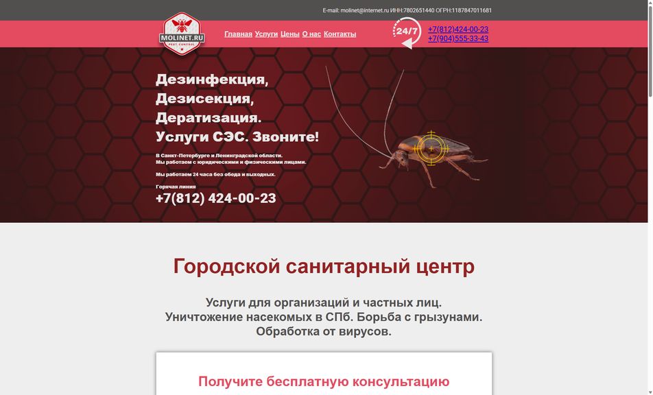 Скриншот сайта