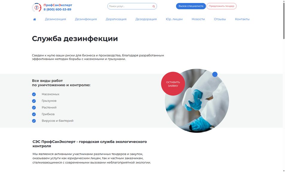 Скриншот сайта