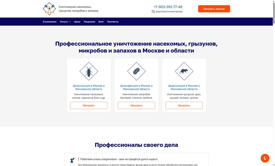 Скриншот сайта