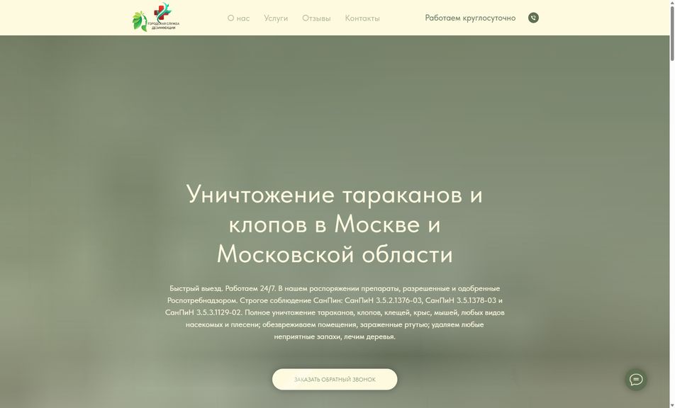 Скриншот сайта