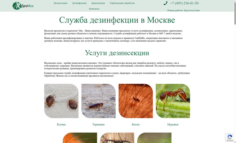Скриншот сайта