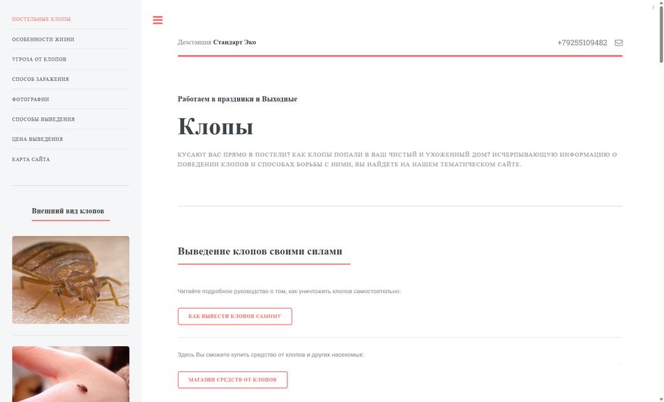 Скриншот сайта
