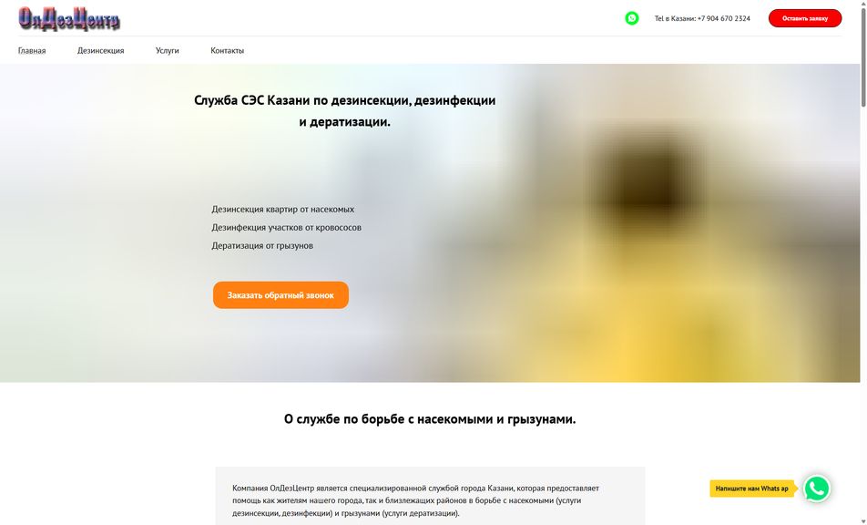 Скриншот сайта