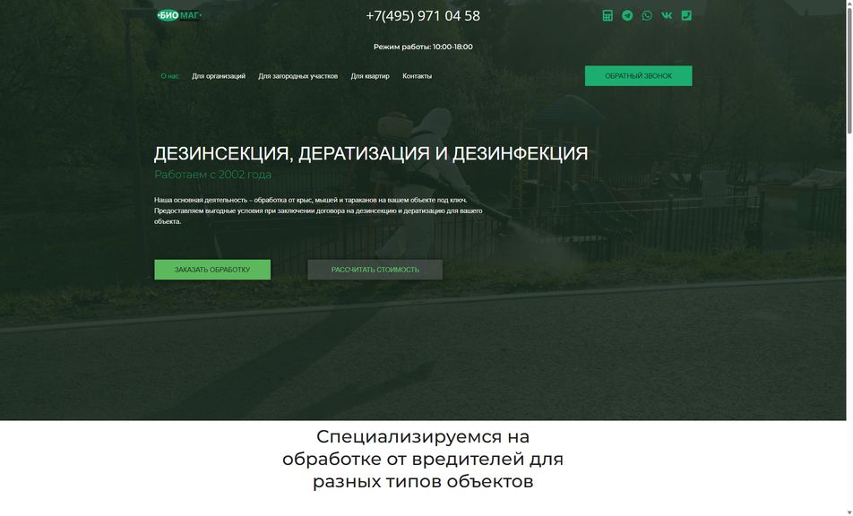 Скриншот сайта
