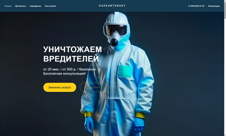 Скриншот сайта
